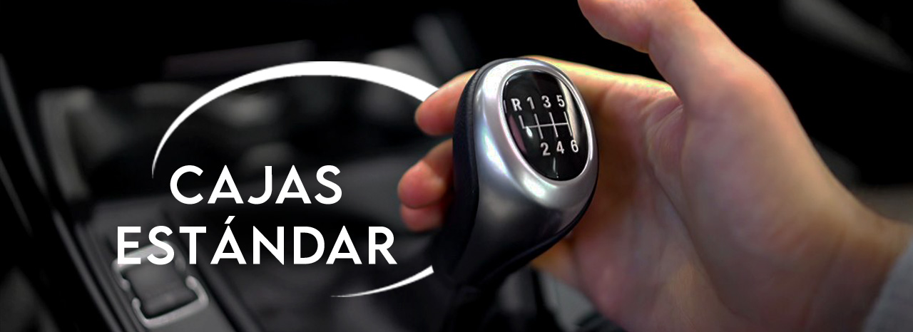 CAJAS ESTÁNDAR